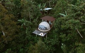 Bali Jungle Camping